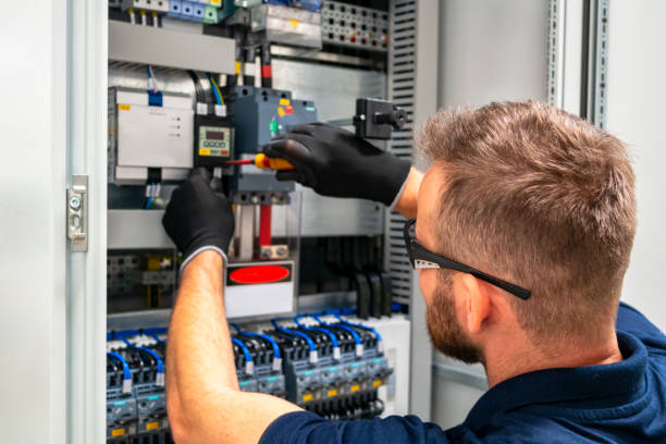 Best Local Electrician Companies  in Wolf Lake, MI