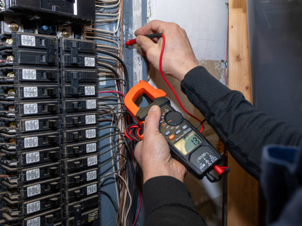 Best Ceiling Fan Installation Electrician  in Wolf Lake, MI