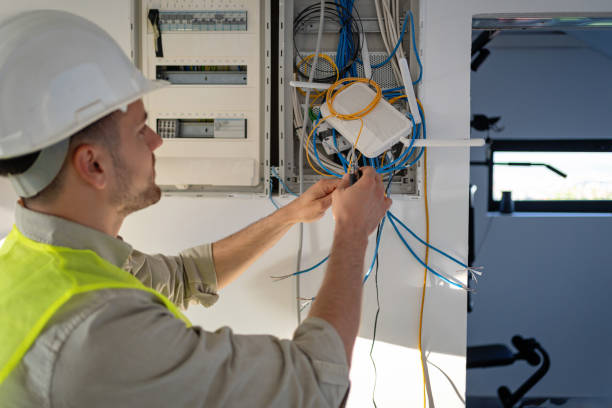 Best Ceiling Fan Installation Electrician  in Wolf Lake, MI